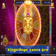 bingotingo canva pro